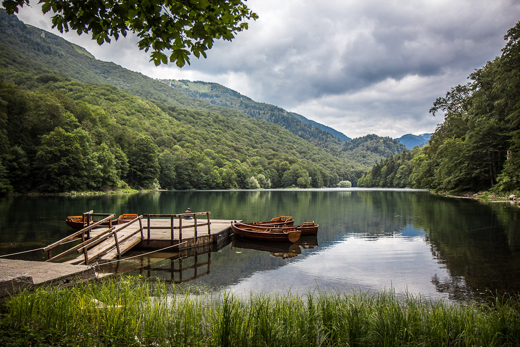 Biogradska gora