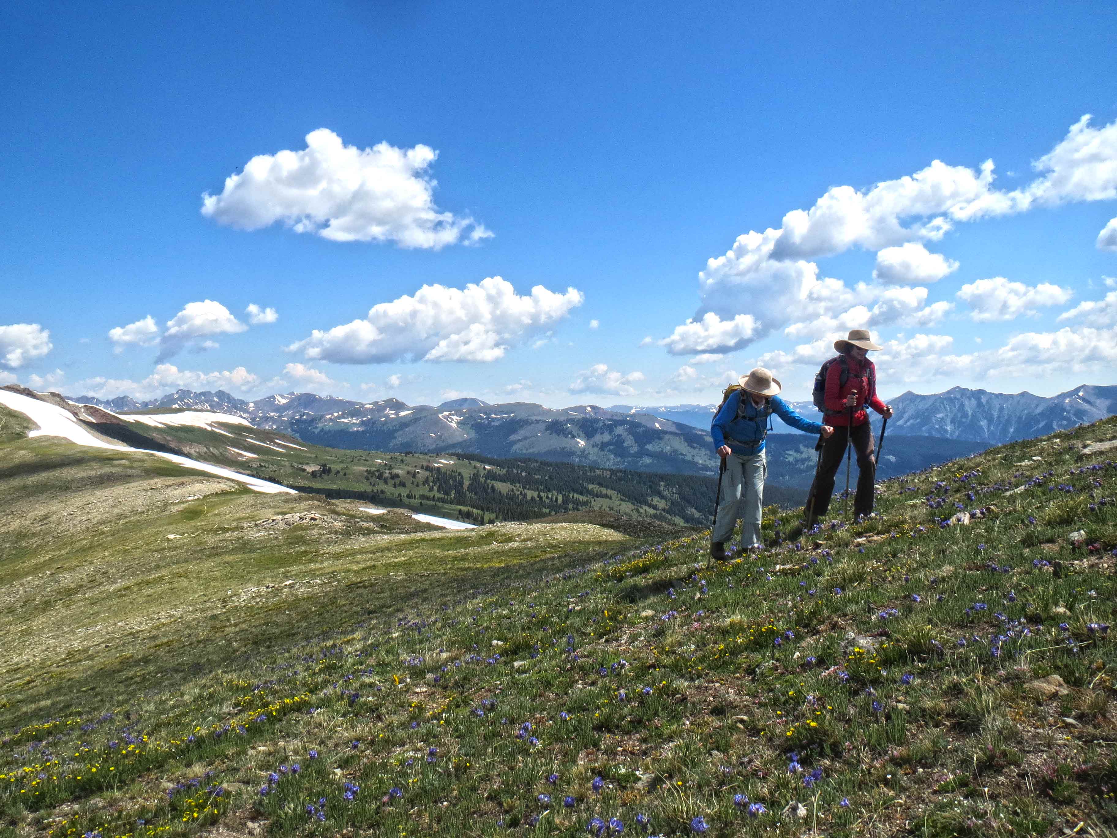 Walking Mountains Science Center Adult Hiking Vail Colorado 2 WEB