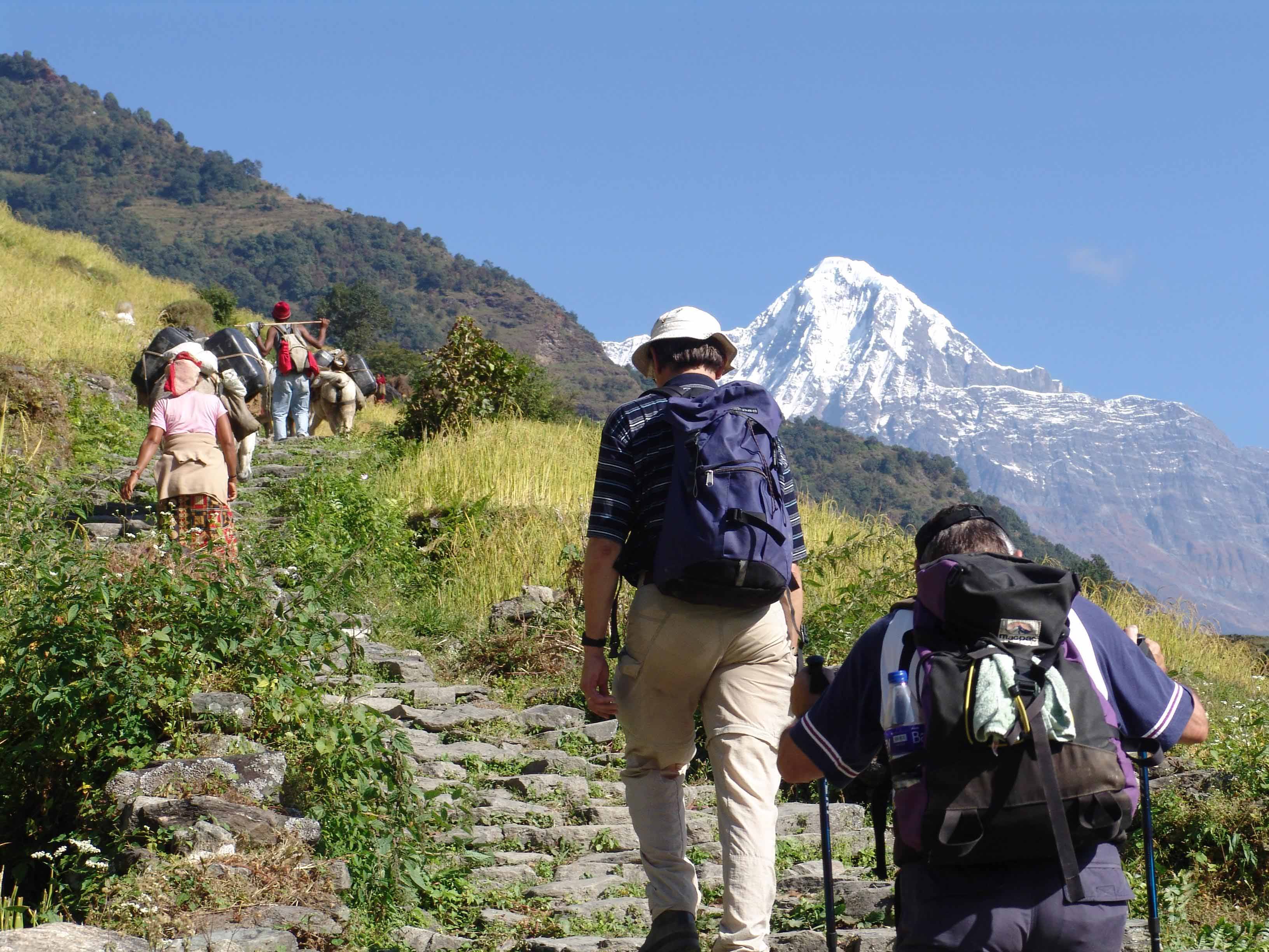 annapurna on trek