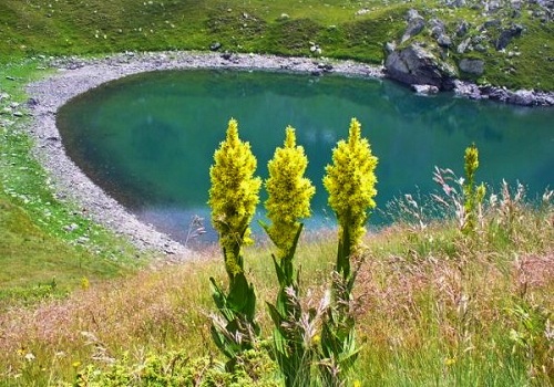 jazinacko jezero sar planina 10745733003