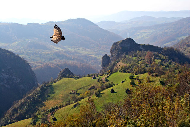 Šar planina1