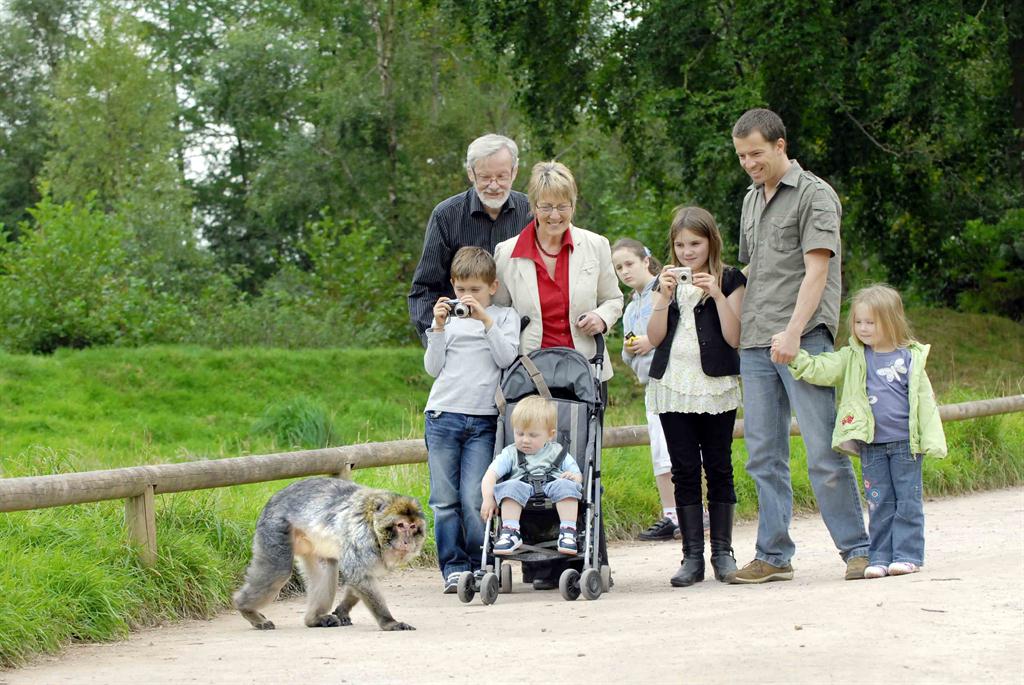 Jon and family and Monkey crossing PP