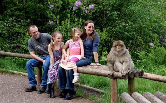 trentham monkey forest 1341 1 559 348 65 s c1