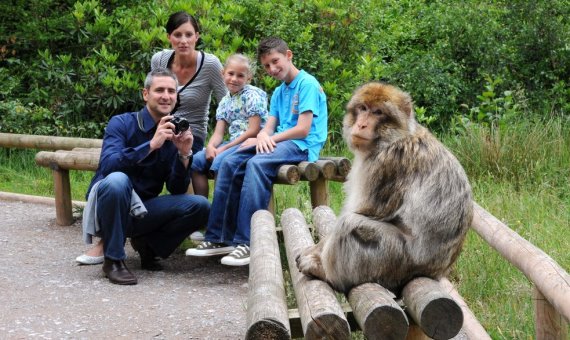 visitors and monkeys 2009 1