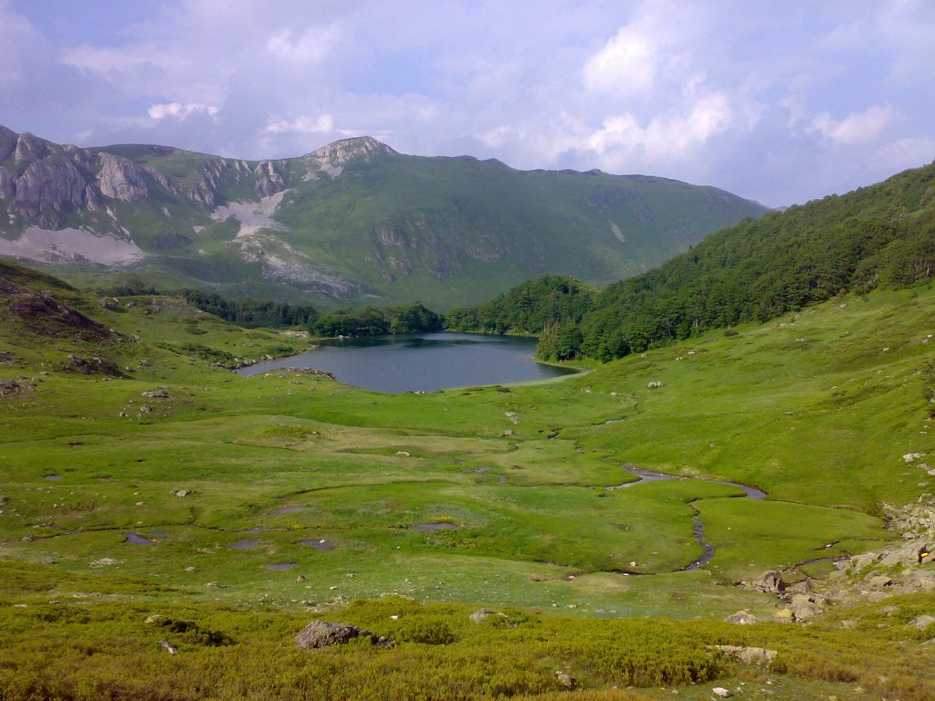 pesica 1