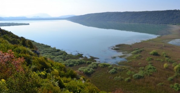 Sasko jezero sadrzaj