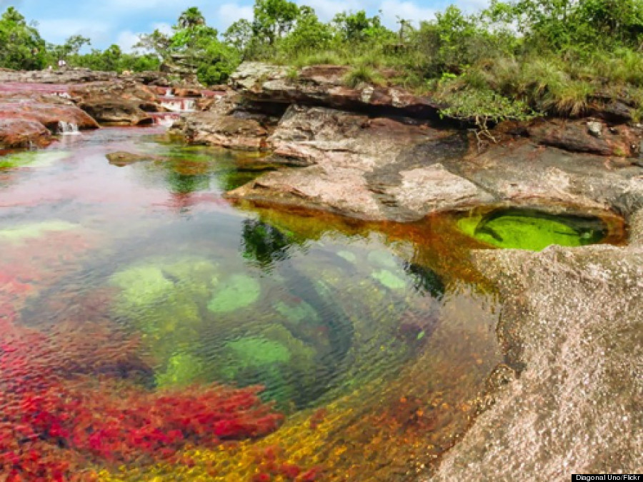 o CANO CRISTALES 900