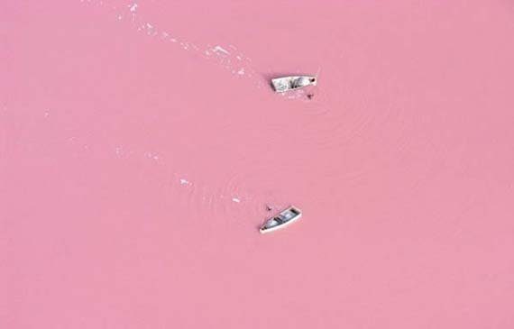 Lac Rose