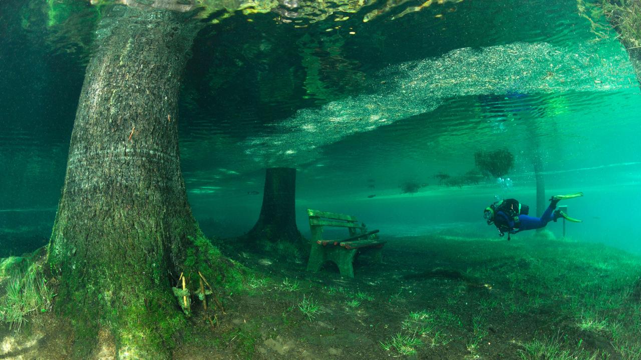 podvodni park3