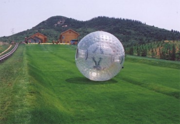 Zorb-Ball