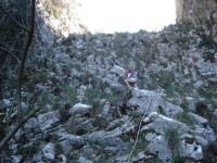 Staza Kotor Vertical KM