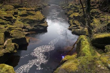 Bolton Strid 5