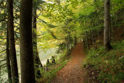 biogradska gora