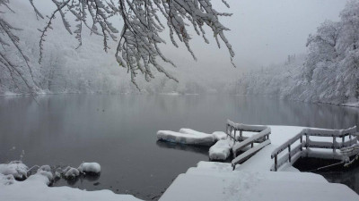 biogradska gora