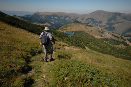 Foto arhiva NPCG NP Biogradska gora