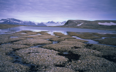 permafrost features on Kvadehukslette