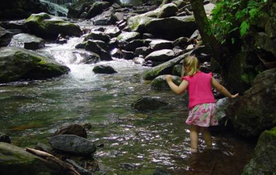 kids exploring nature