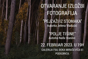 Polja tisine Pejzazi iz stomaka