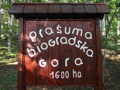 BiogradskaGora