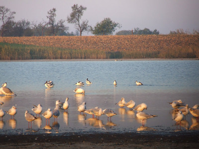 jezero rusanda slika3