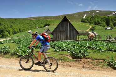 pljevlja bike