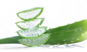 IQF Aloe Vera 01