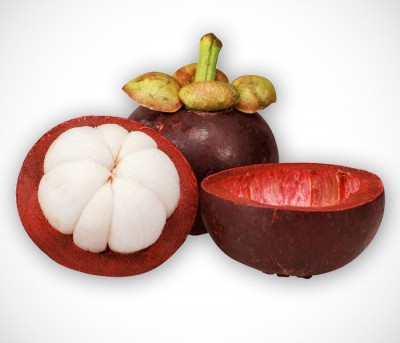 Mangostan2