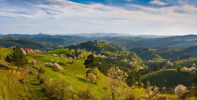 Zlatibor 4