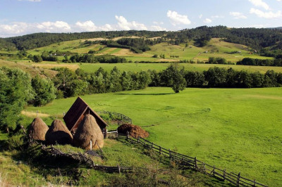 Zlatibor3