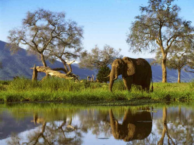 Zimbabve11