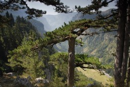 Durmitor