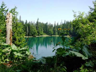 Zabojsko jezero