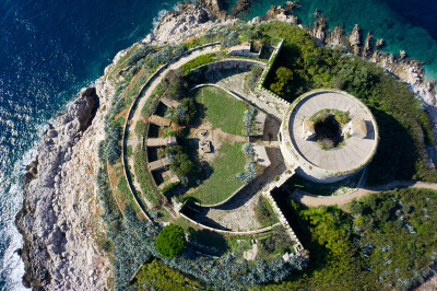 mamula1