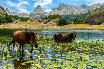 bukumirsko jezero