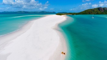 whitehaven beach day cruise9