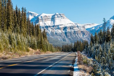 icefields parkway IMG 0193 2