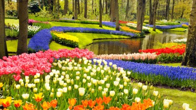 Keukenhof Amsterdam