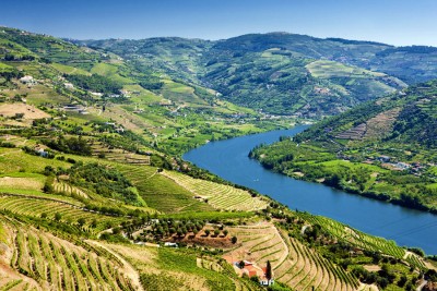 douro valley 1