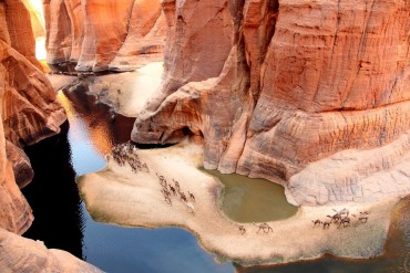 guelta archei canyon ennedi dromadaires