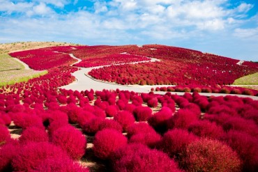 Hitachi park1