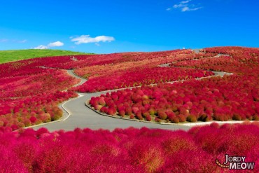 Hitachi park2