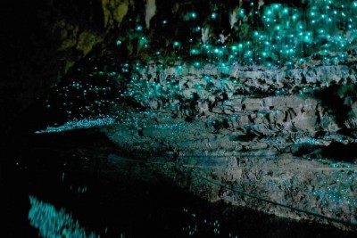waitomo2