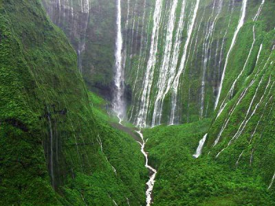 weepingwall