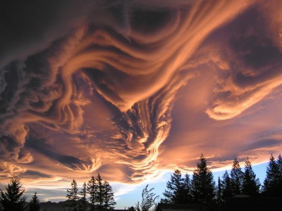 asperatus priester 1024