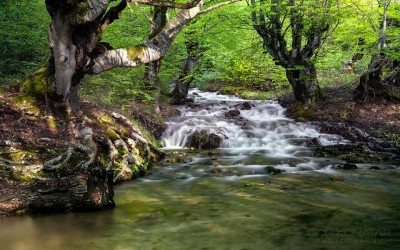 planina srbija4