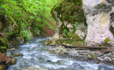 planina srbija6