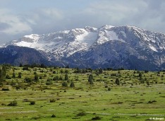 planina crvsnica bih