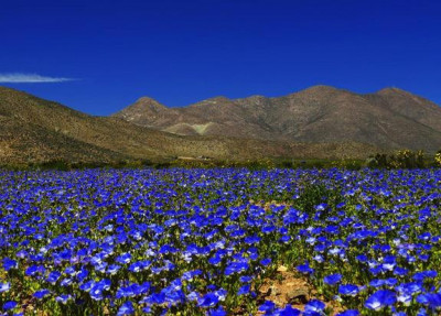 atacama2