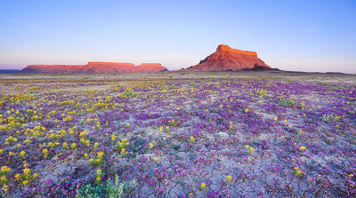 atacama nas