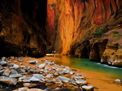 Zion National Park Image